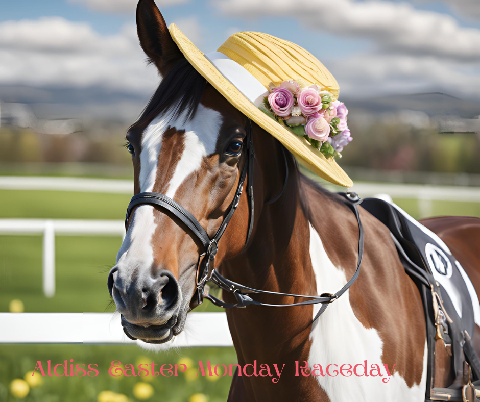 Aldiss Easter Monday Raceday 21.4.25
