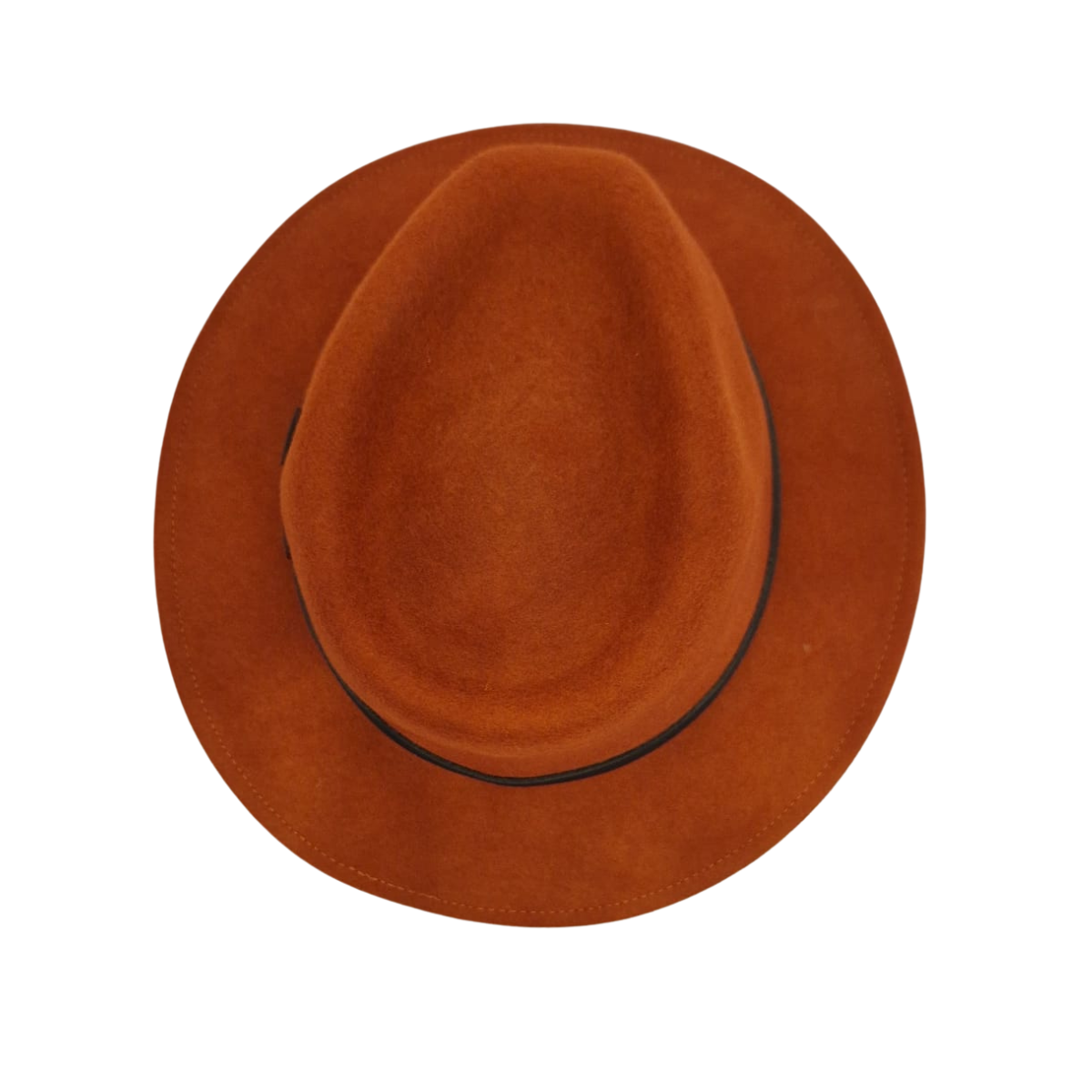 Rust Fedora top