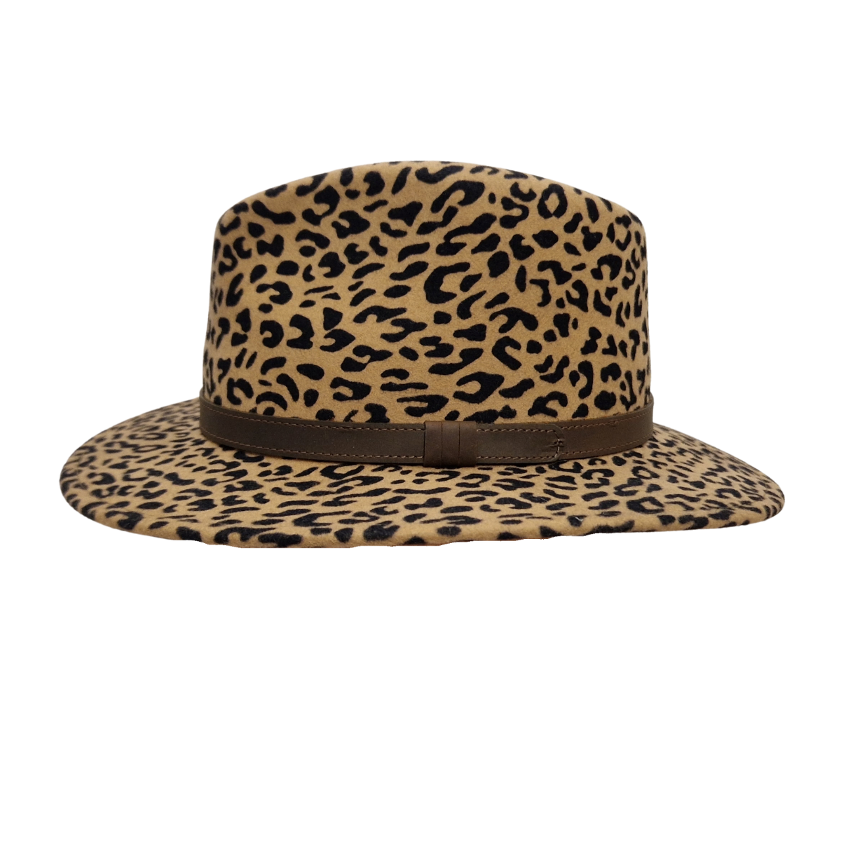 leopard print 100 percent wool fedora - side view