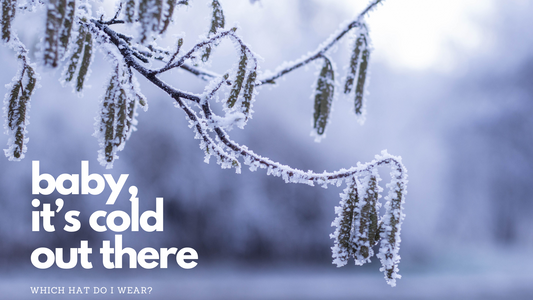 A frozen branch 