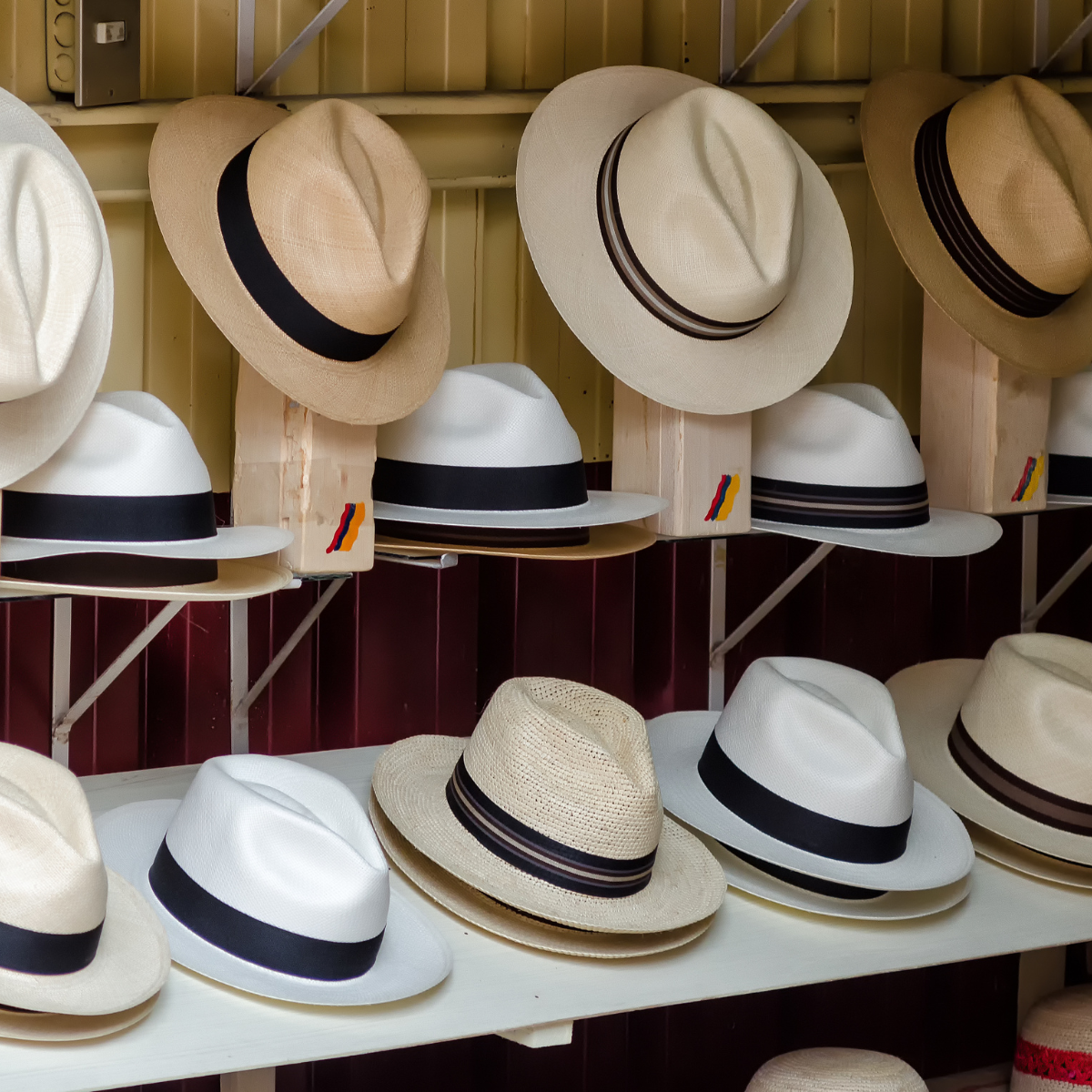Three rows of Panama hats