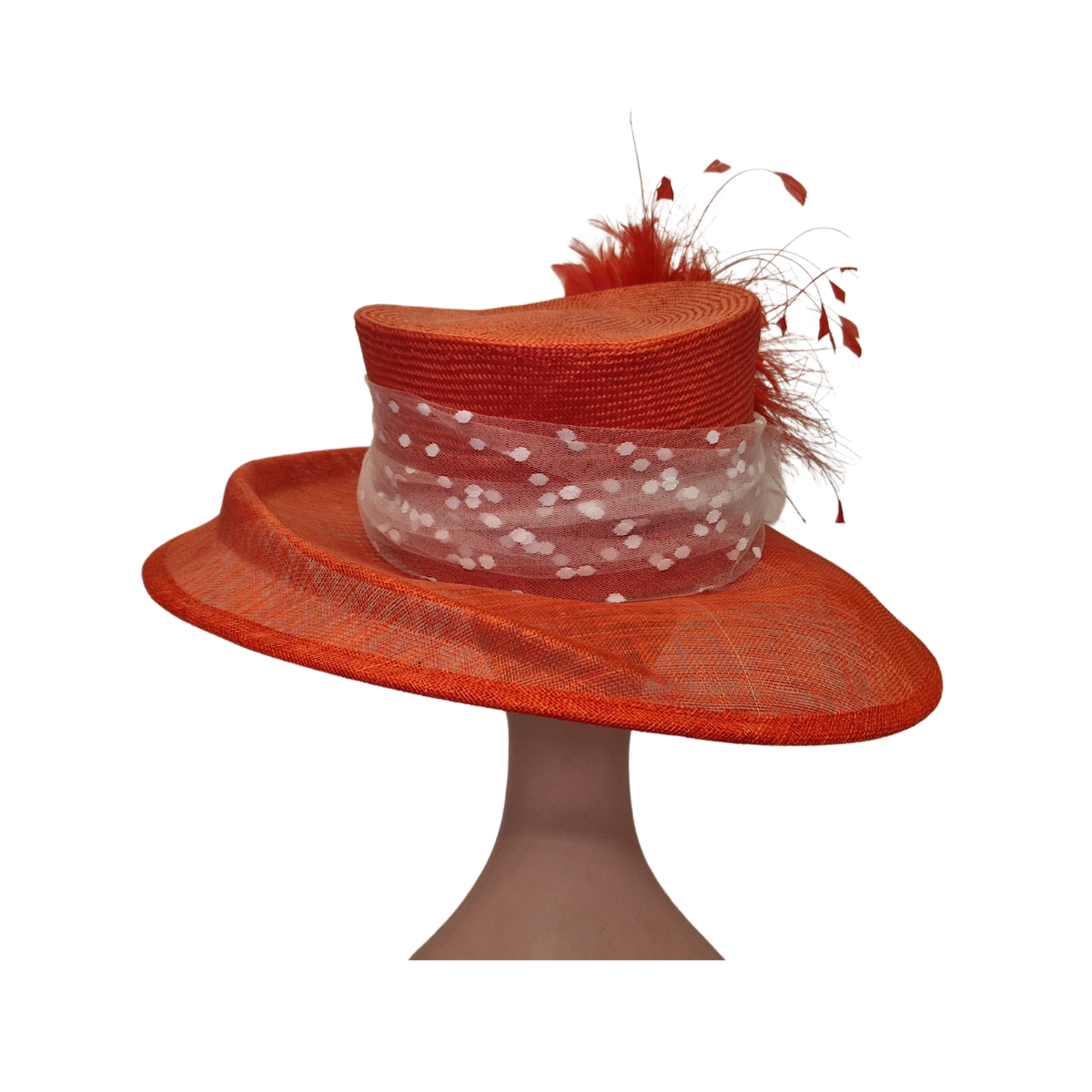 Feather & Spot Tulle Detail Red Occasion Hat back