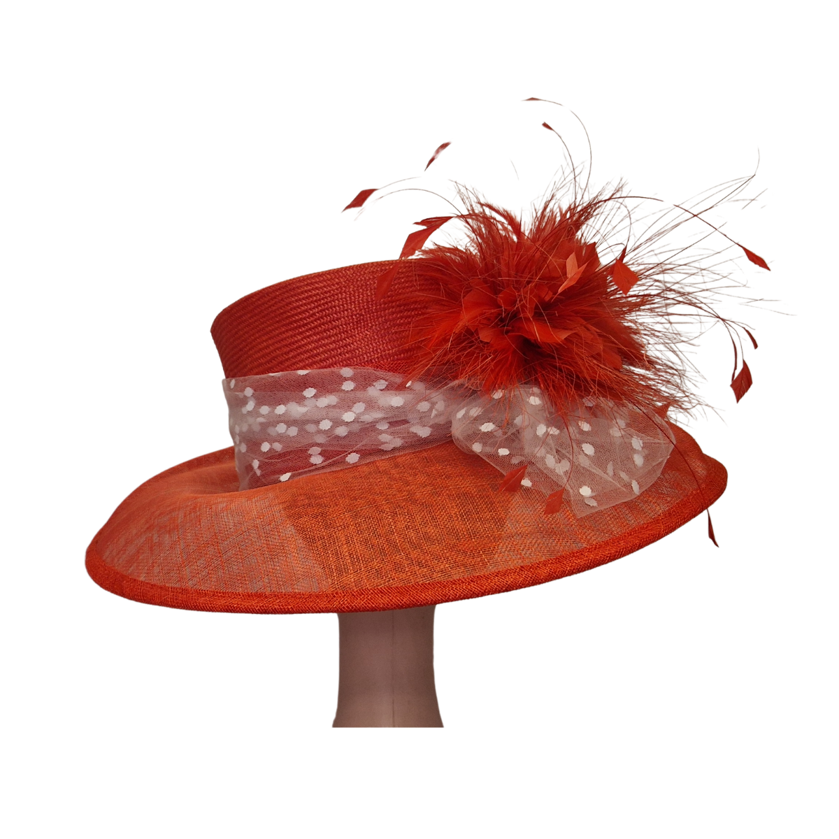 Feather & Spot Tulle Detail Red Occasion Hat - side