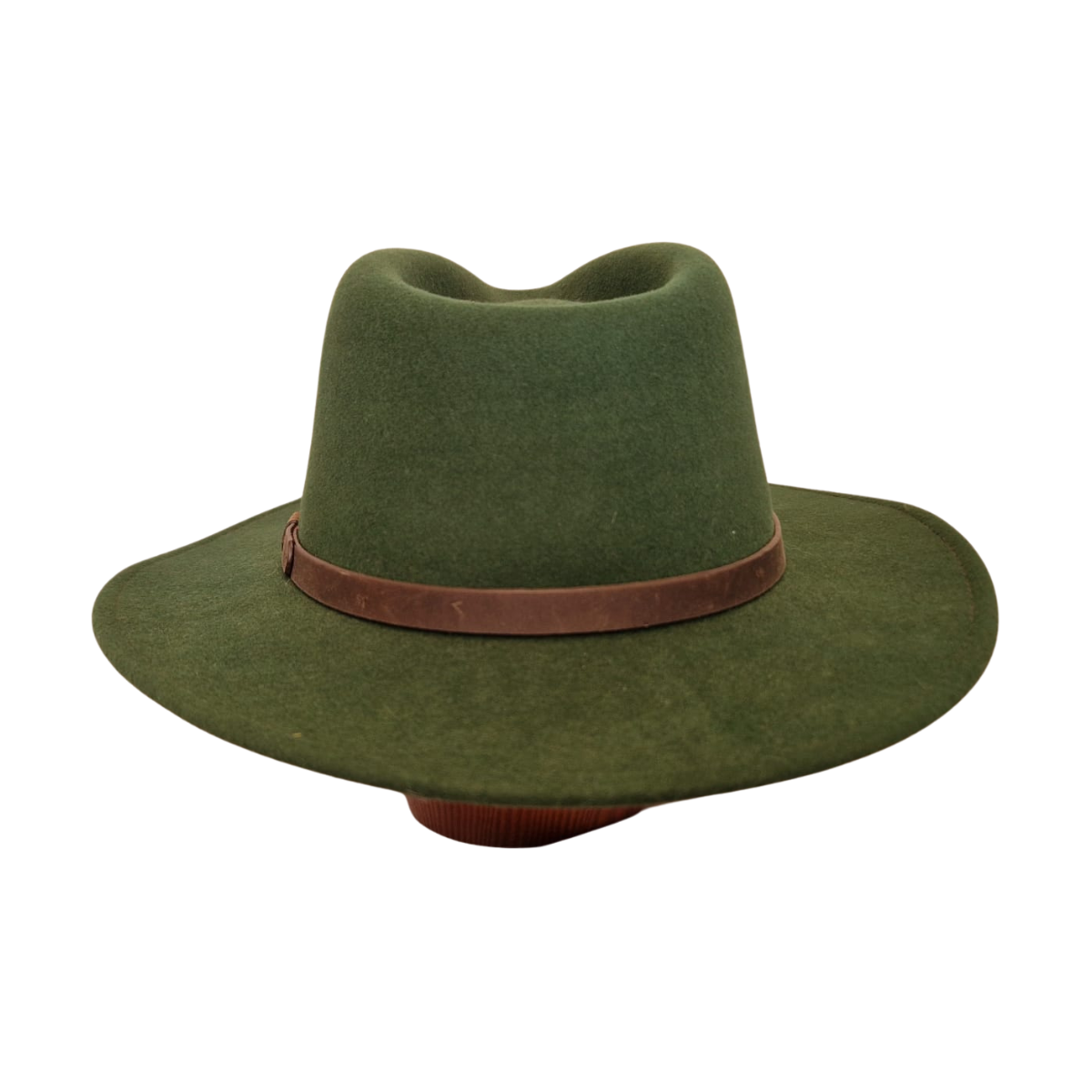 Forest Green Fedora back