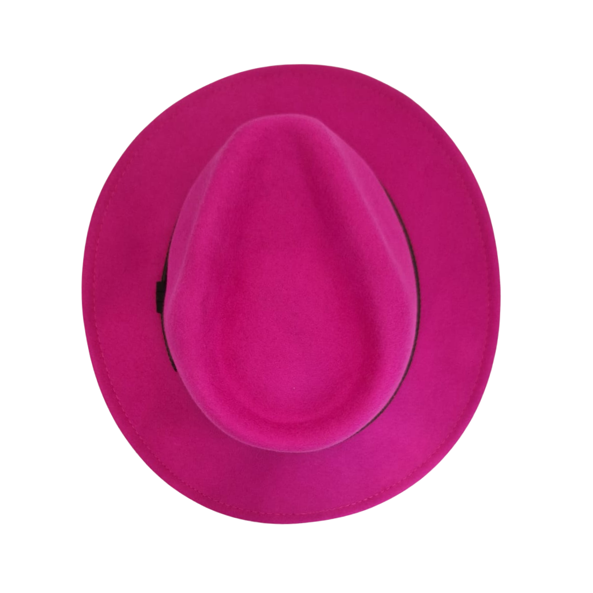 Fuchsia Pink Fedora top