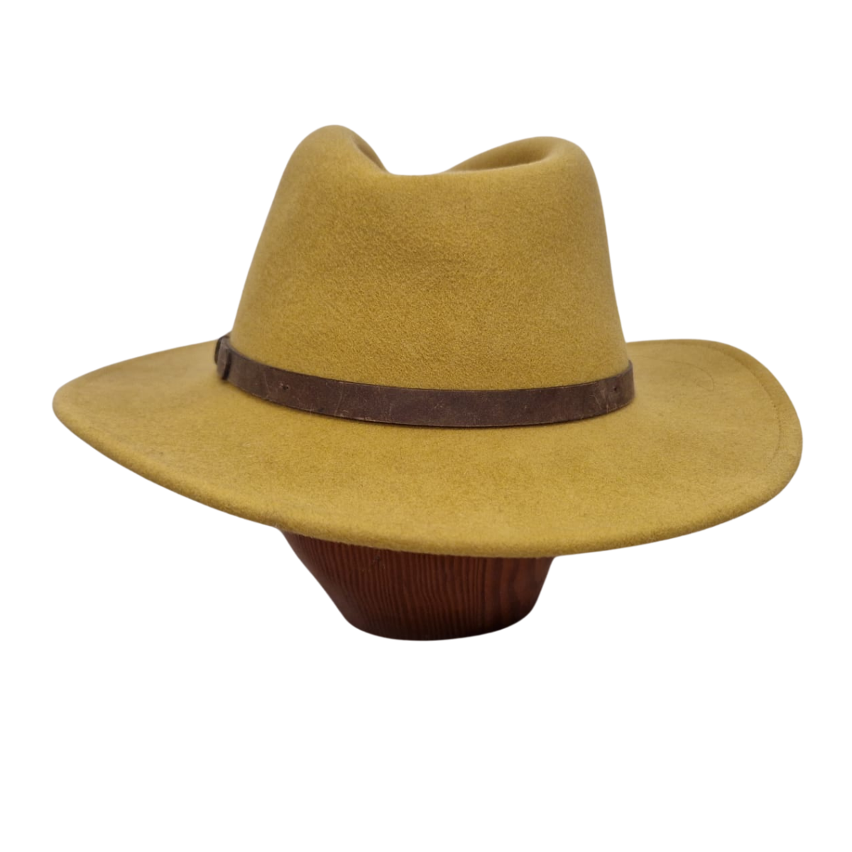 Golden Ochre fedora back