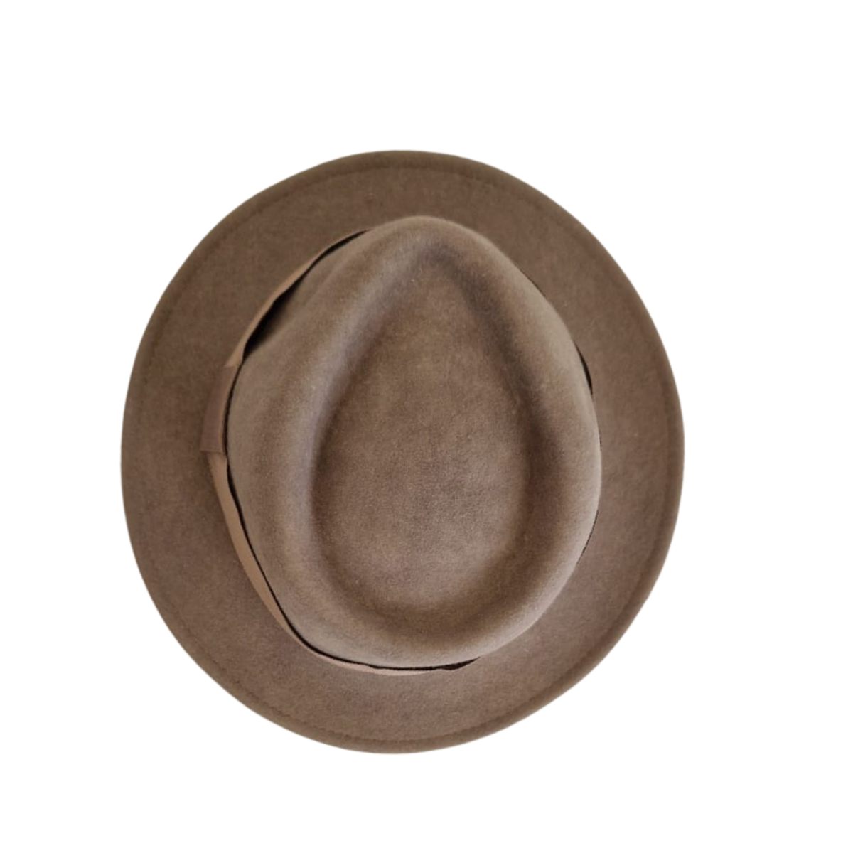 Pale green trilby top