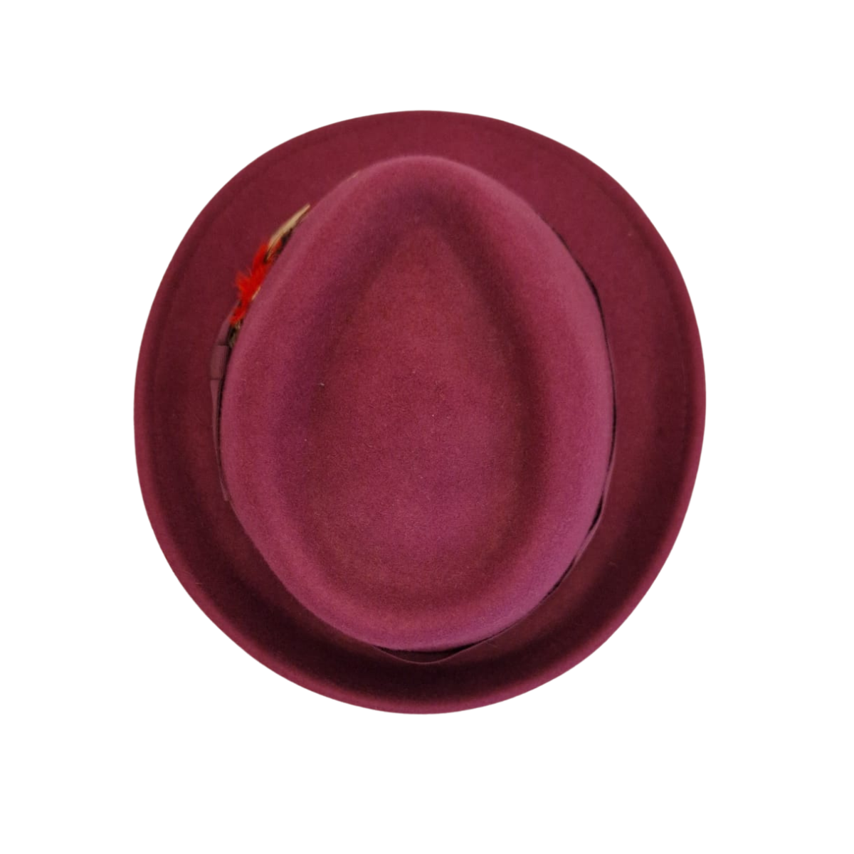 Plum trilby top