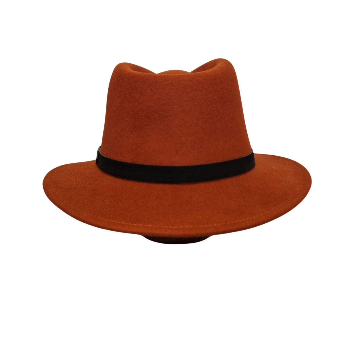 Rust Fedora back