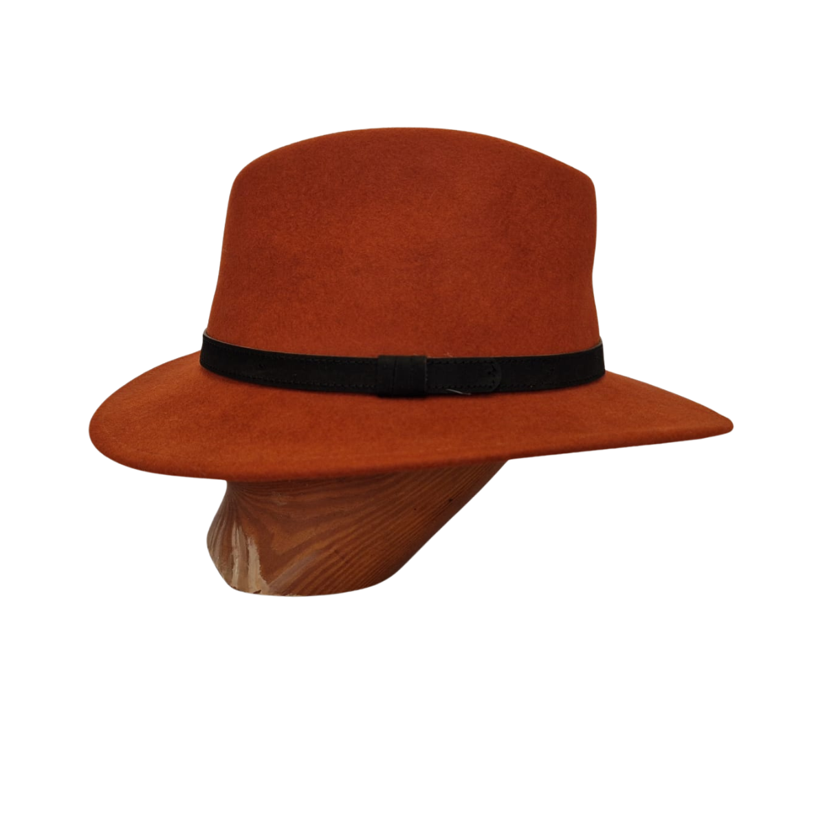 Rust Fedora side
